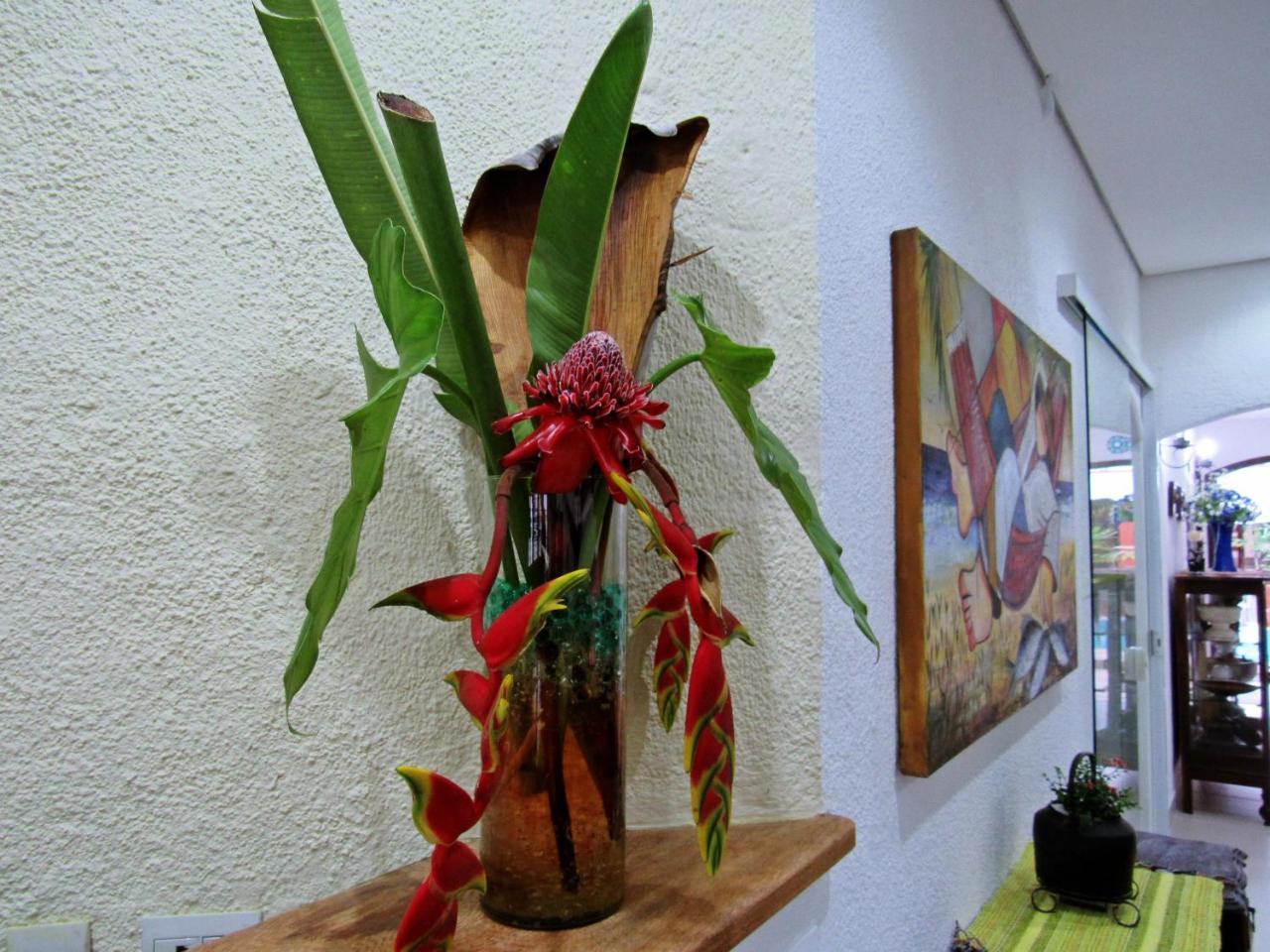 Pousada Do Pinheiro Camburi  Extérieur photo